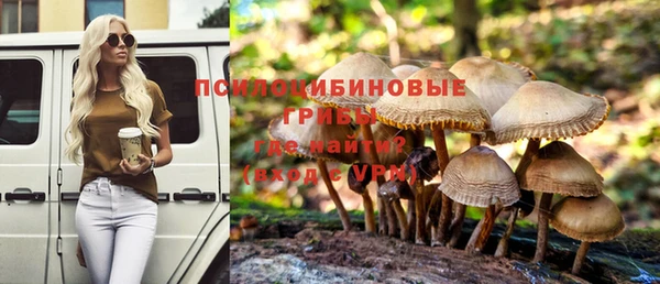 винт Балахна